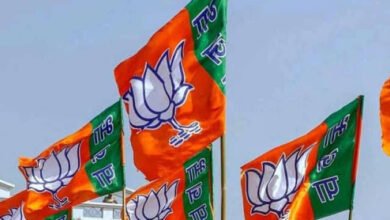 images 2023 10 09T163055.087