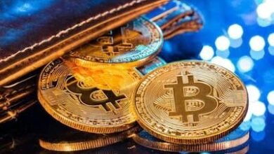 images 2023 10 10T113714.025