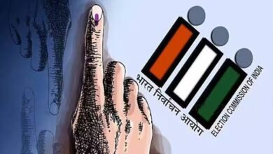 images 2023 10 13T144313.733