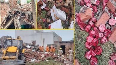 images 2023 10 17T124655.704