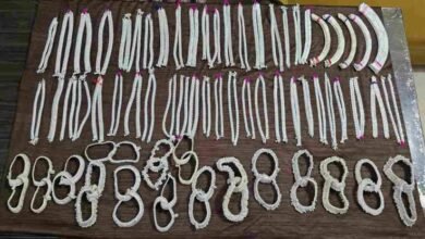 images 2023 10 17T152714.789