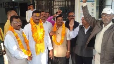 images 2023 10 17T154219.441