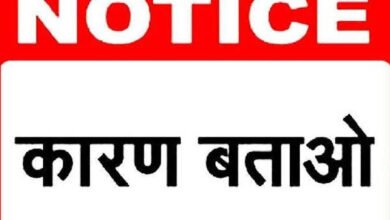 images 2023 10 20T144339.885