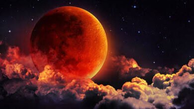 images 2023 10 21T083915.683