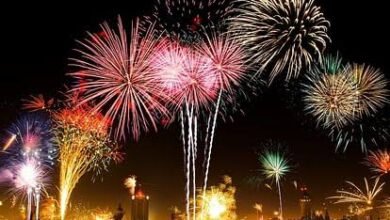 images 2023 10 26T135230.664