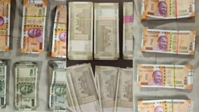 IMG 20231101 WA1354.jpg