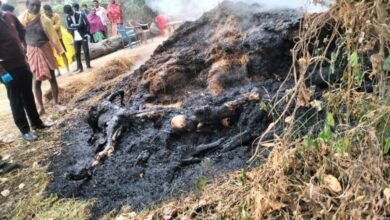 WhatsApp Image 2023 11 27 at 13.41.08 780x470 1