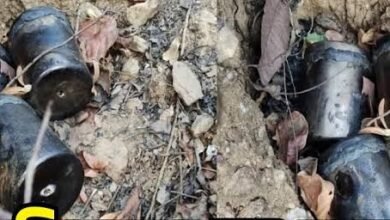 image editor output image 161298132 1699091600036