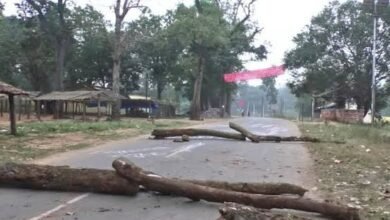 image editor output image 1827496025 1701194171641