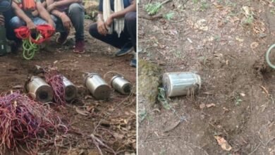 image editor output image 733420272 1700665499885