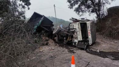 image editor output image1163589973 1701069002204