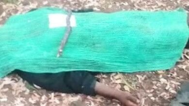 image editor output image1588761320 1700635083695