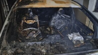 image editor output image1710039218 1700665025403