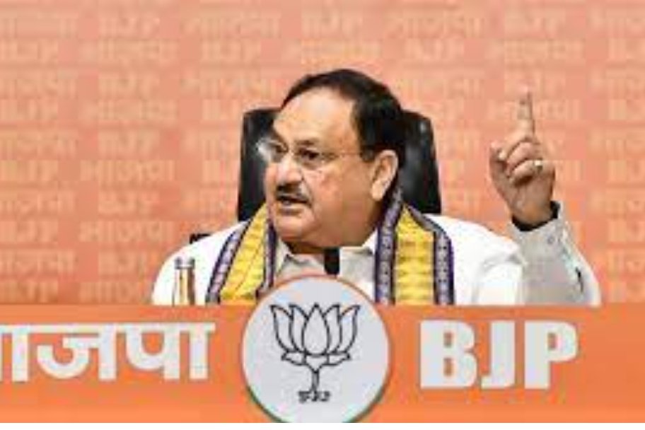 image editor output image1930267818 1699264615481