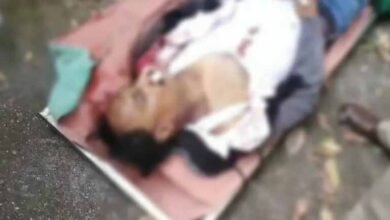 image editor output image821574182 1700565307584