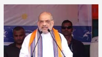 image editor output image838262670 1699001988752