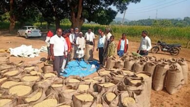 images 2023 11 04T075624.993