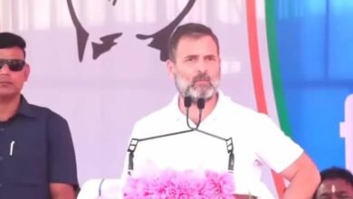 images 2023 11 04T194704.955