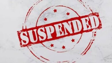 images 2023 11 11T081631.019