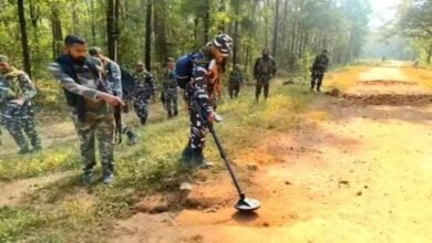 images 2023 11 17T124914.302