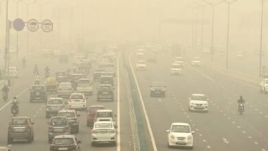 images 2023 11 20T082720.741