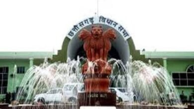 images 2023 11 20T132155.653 1