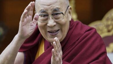 images 2023 11 22T073047.749