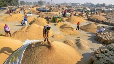 images 2023 11 23T083140.998