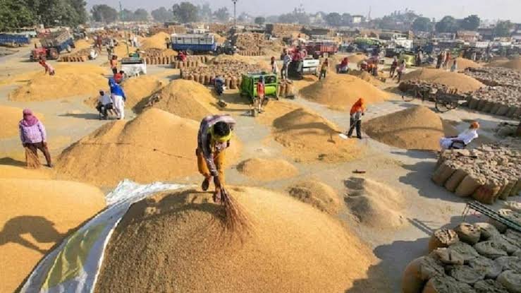 images 2023 11 23T083140.998