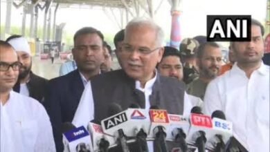 images 2023 11 23T135304.327