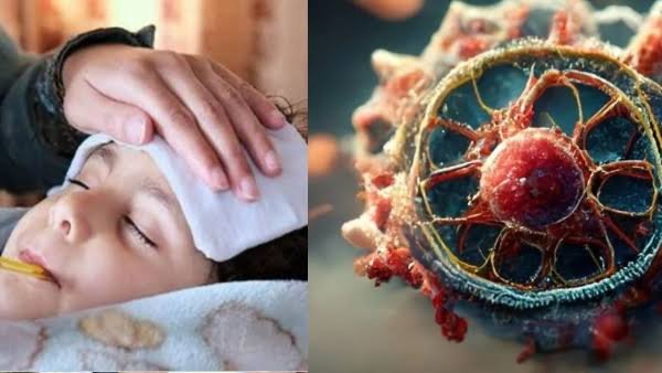 चीन में फैल रही बीमारी को लेकर सरकार अलर्ट बच्चों में निमोनिया की पहचान करने का निर्देश 1 images 2023 11 28T000620.178