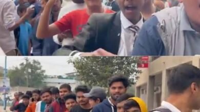 images 2023 11 28T141744.821