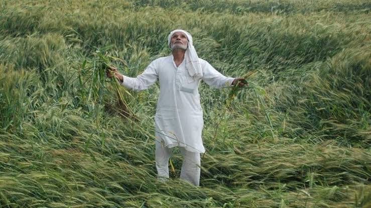 छत्तीसगढ़ में मौसम बदलने के साथ ही ग्रामीण इलाकों में ठंड का एहसास, किसान चिंतित 1 images 2023 11 29T080226.729