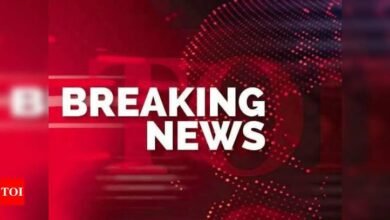 images 2023 11 30T145835.579