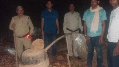 madira japt 2 1152x1536 1