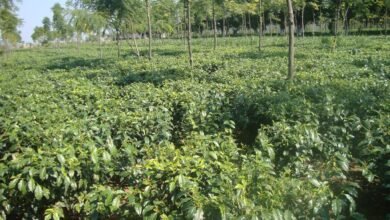 1703772869 4ebfe2c1fe549750f92e