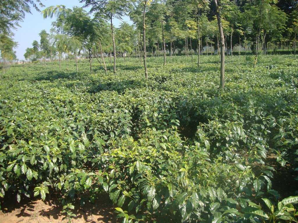 1703772869 4ebfe2c1fe549750f92e