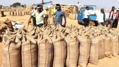 20231220210713 bonash rashi 2