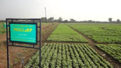 IMG 20231130 WA0017 1024x768 1