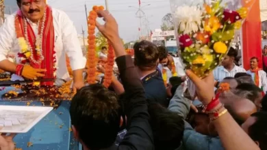 IMG 20231216 WA1192 1536x1536.jpg