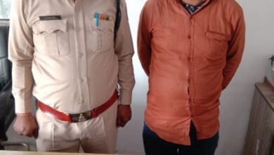 image 750x 657c019e4b61a