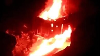 image editor output image 308666588 1701399079025