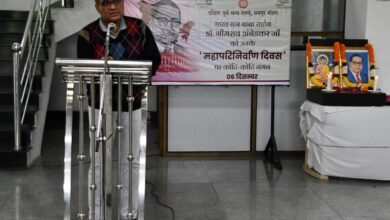 image editor output image 596042810 1701855611481