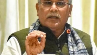 image editor output image 674328394 1702026255028