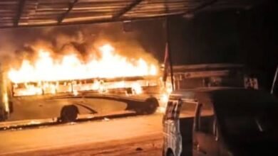 image editor output image 765935484 1702360876954