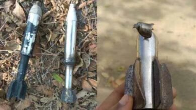 image editor output image439071061 1702970840709