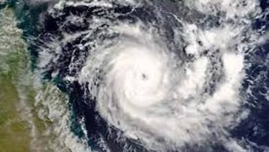 images 2023 12 06T123654.841