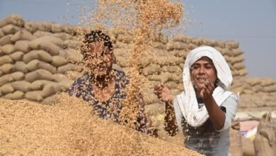 images 2023 12 15T192356.522