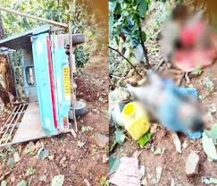 कवर्धा: मजदूरों से भरी गाड़ी खाई में गिरी, एक की मौत, 7 घायल 1 images 9