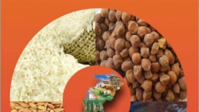 1706794458 179f7eb754518185efdf